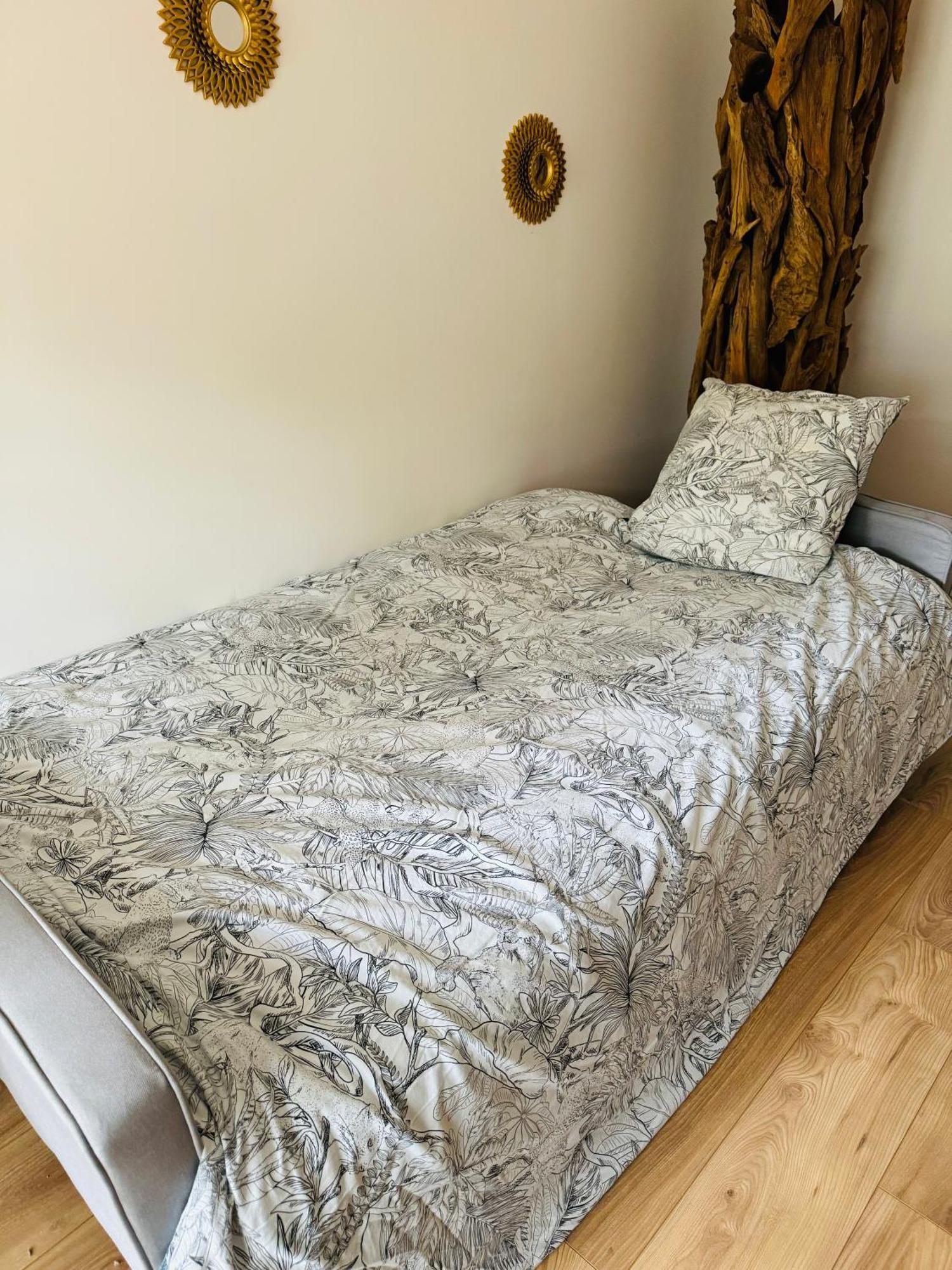 Bel Appartement Proche Parc & Lac Рен Екстериор снимка